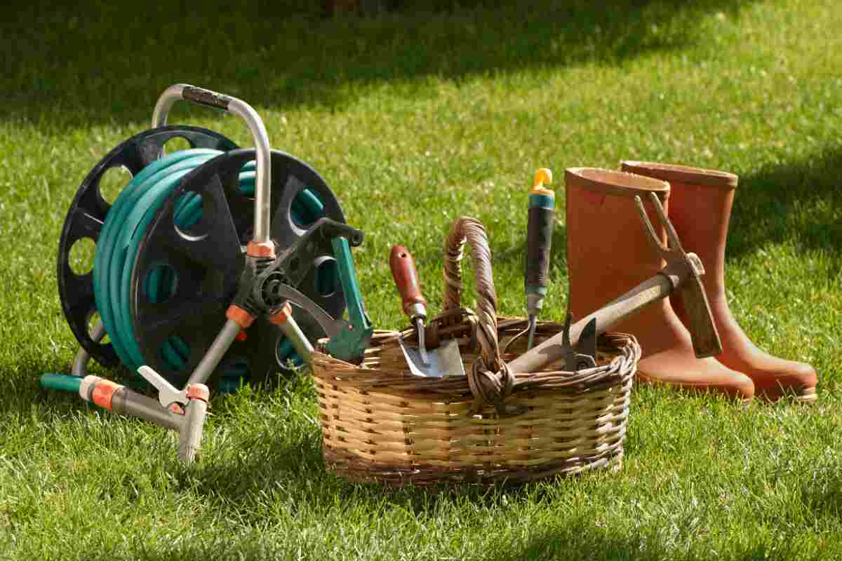 Lidl, L'Offerta È Pazzesca: Il Vostro Giardino Diventerà Una Chicca Per Tutto Il Vicinato 5 Attrezzi Giardinaggio