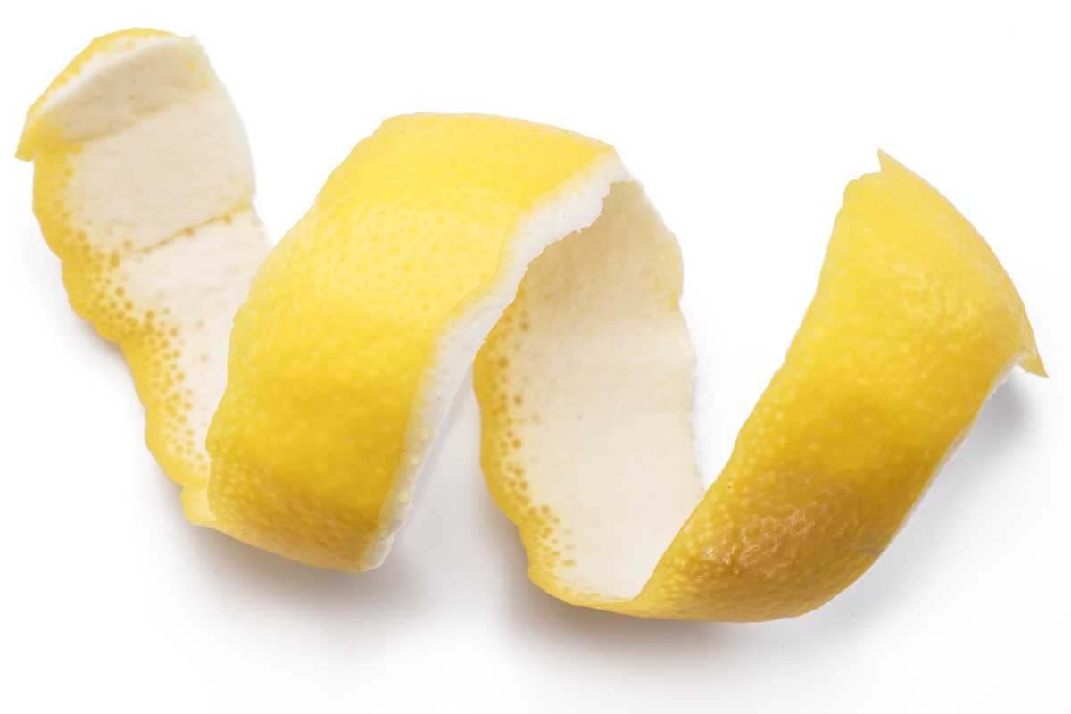 Non Buttarle, Sono Il Trucco Green Per Piante Super Felici: Il Rimedio Naturale Per Rendere Il Tuo Balcone Il Più Verde Del Quartiere 5 Piante Balcone Bucce Di Limone