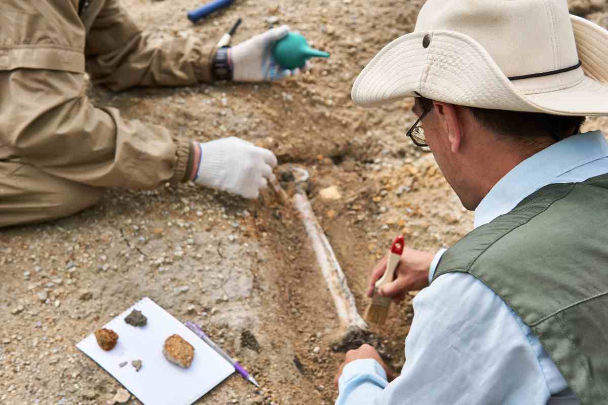 La Scoperta Archeologica Del Secolo: Un Fossile Di Dinosauro Mai Visto Prima, Questo Impone Di Riscrivere La Storia Dell'Evoluzione 5 Fossile Di Dinosauro