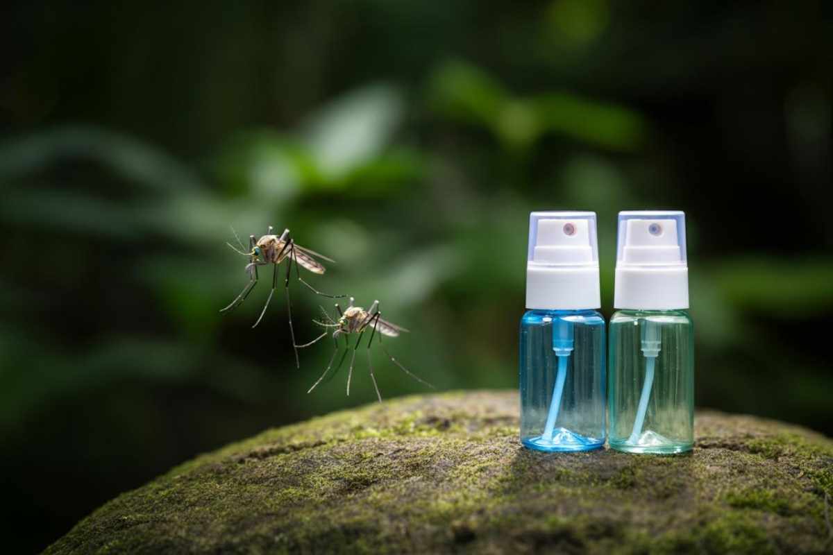 Repellenti Antizanzare, Butta Quelli Che Hai: Solo Questi Funzionano Secondo Altroconsumo 5 Repellente Zanzare, Classifica Altroconsumo