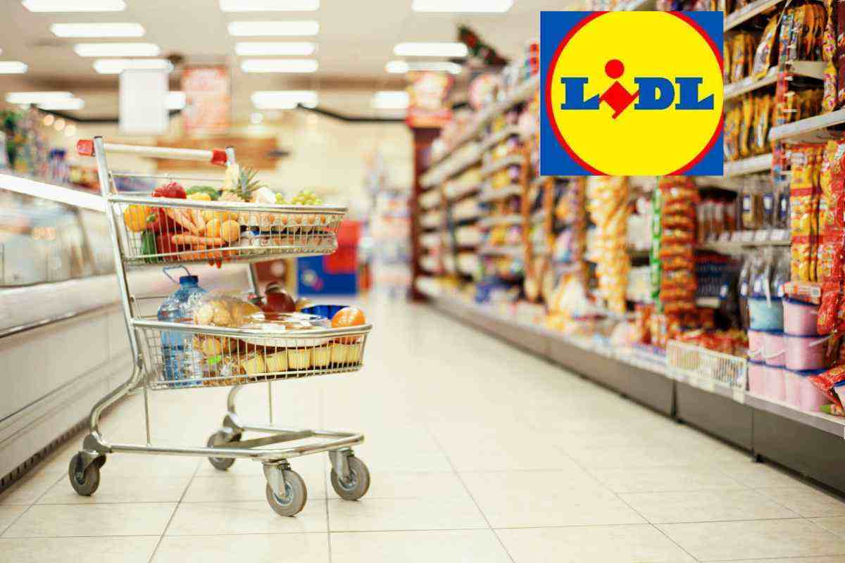 Lidl, Arriva La Svolta Con Soli 25€: Non Ingombra E Si Adatta Anche Alle Cucine Più Piccole 5 Lidl, Arriva La Svolta Con Soli 25€