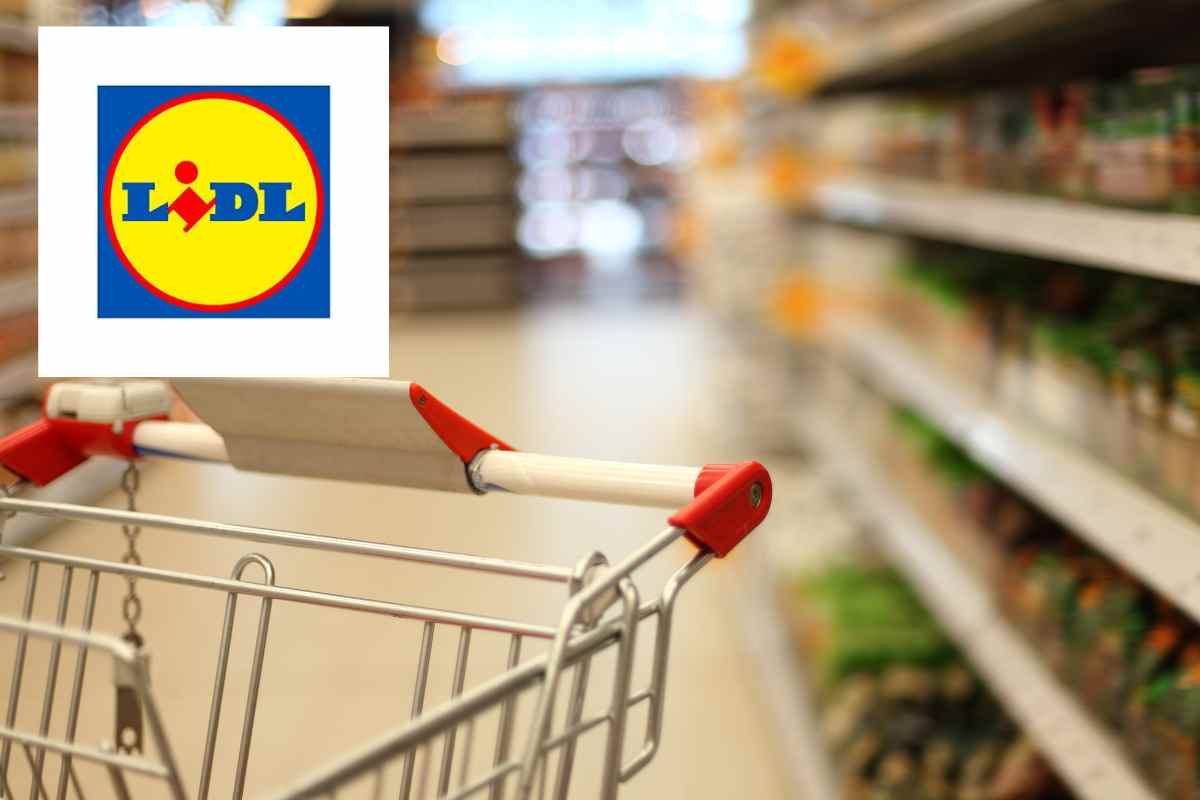 Lidl Ti Regala L’estate Fresca A Un Prezzo Bomba, Solo 50 Euro: Corri Prima Che Finisca 5 Lidl Ti Regala L’estate Fresca A Un Prezzo Bomba,