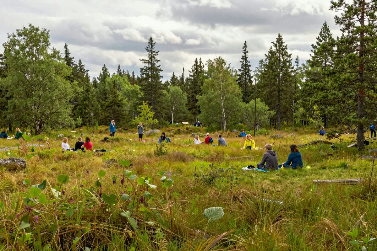In Finlandia si può viaggiare gratis per imparare a vivere felici e sereni nella vita quotidiana