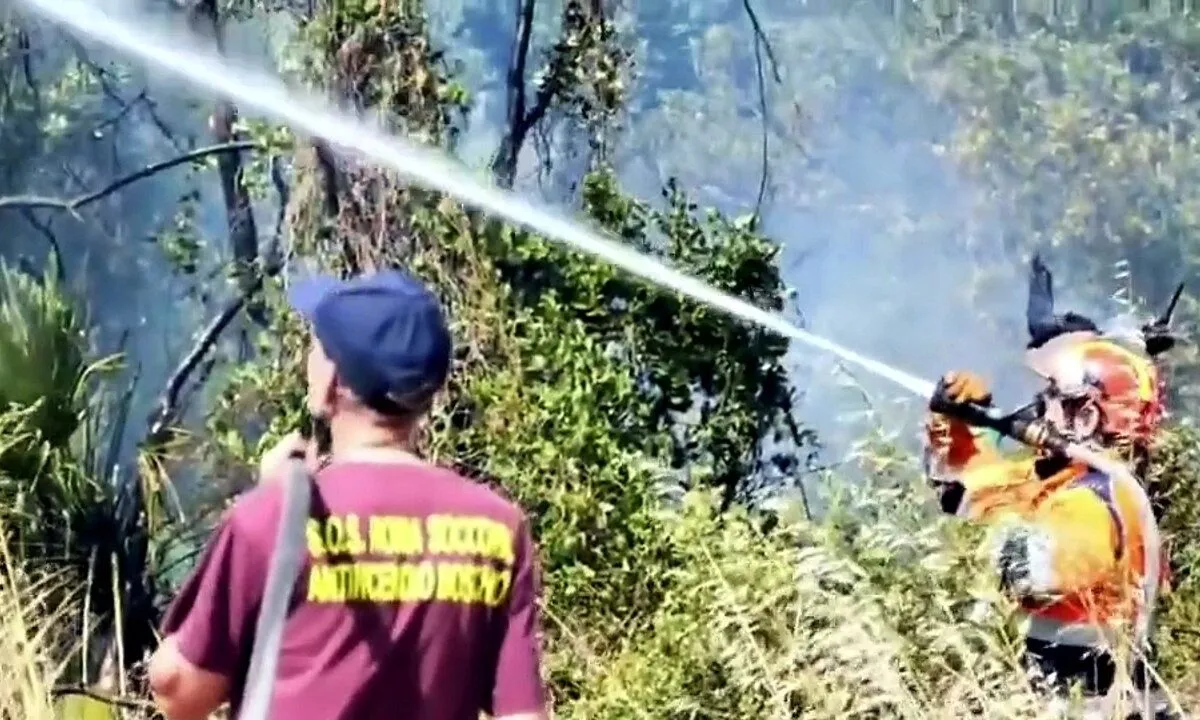 Vasto incendio a Castel Porziano: in azione i Canadair, strade chiuse e residenti evacuati