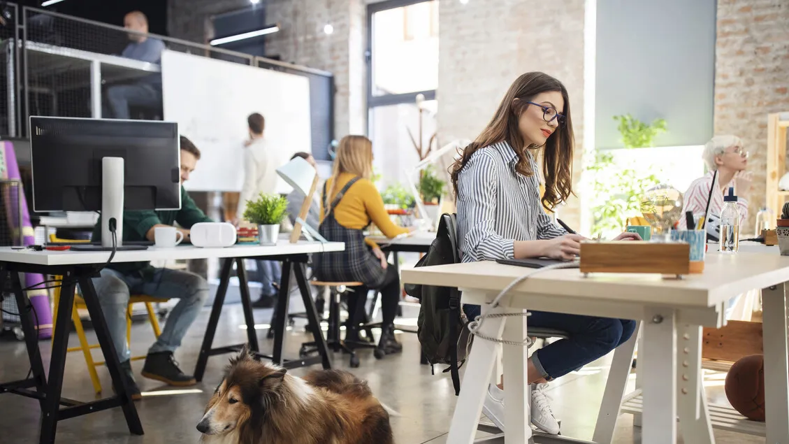 Crescita delle aziende pet-friendly: sempre più cani in ufficio