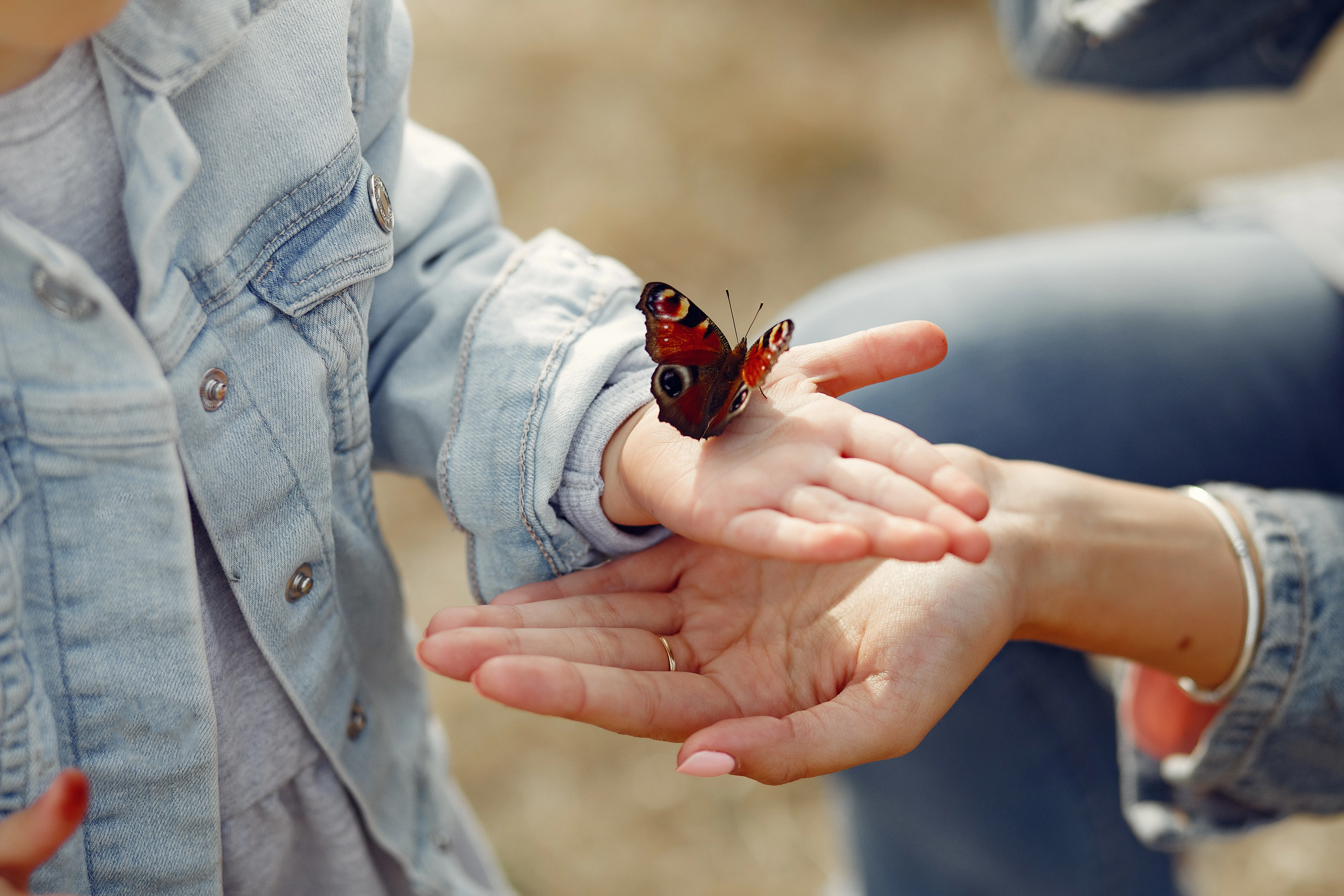 A Ostia la natura entra in classe: il progetto Smart Bugs insegna ai bambini il valore della vita