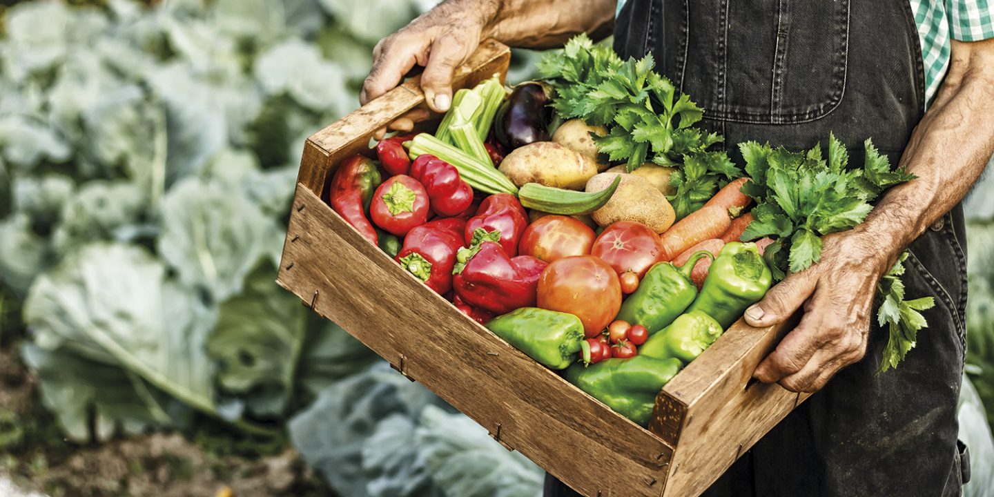 slow food
