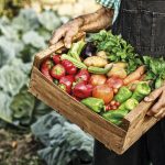 slow food