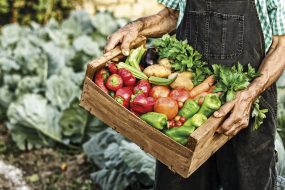 slow food