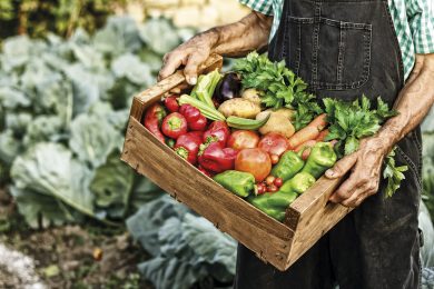 slow food