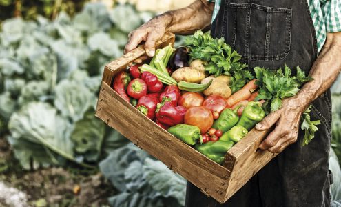 slow food