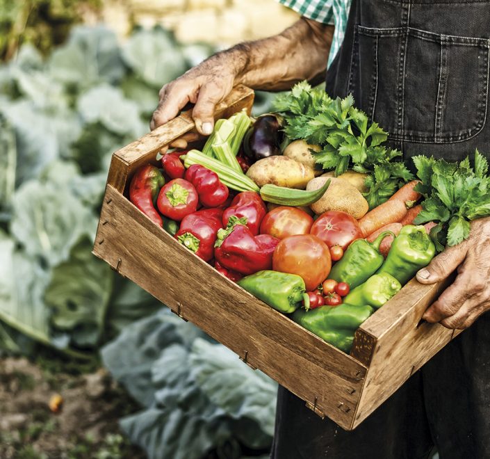 slow food
