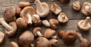 Funghi Shitake Proprieta Benefici E Come Utilizzarli In Cucina