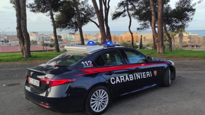Violazioni E Maltrattamenti L