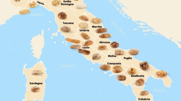 Esplorando Le Radici Della Tra