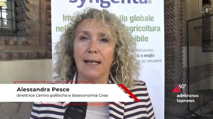 Riduzione Dellimpatto Dellaz