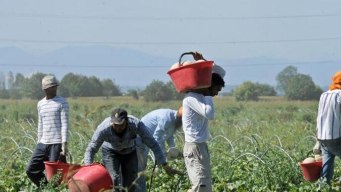 Caporalato Nei Campi La Lotta