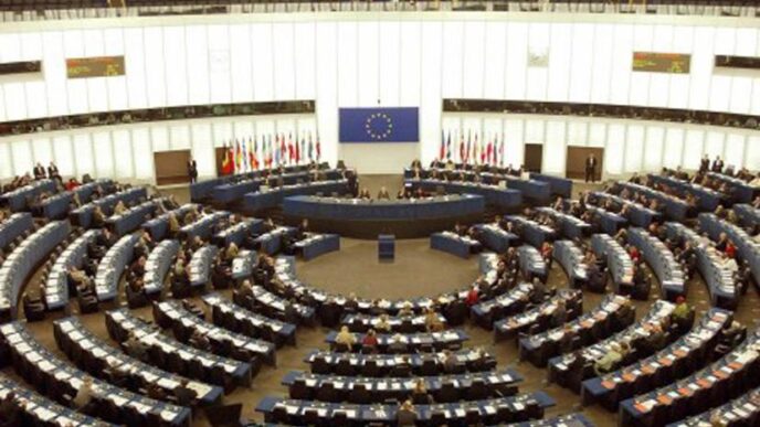 Elezioni Europee 2024 Il Ruol