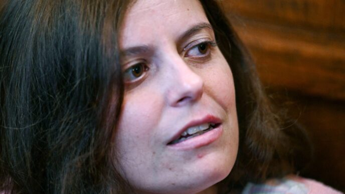 Il Futuro Di Ilaria Salis La
