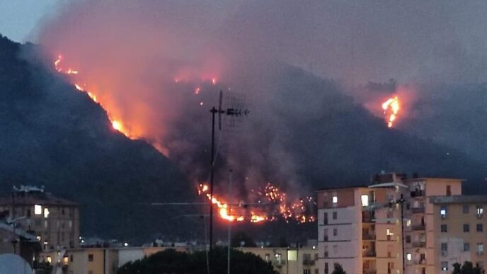 Incendio Nella Collina Dei Cam