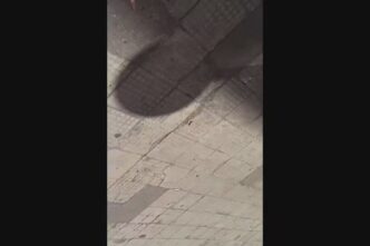 Aggressione In Balduina Avvoc