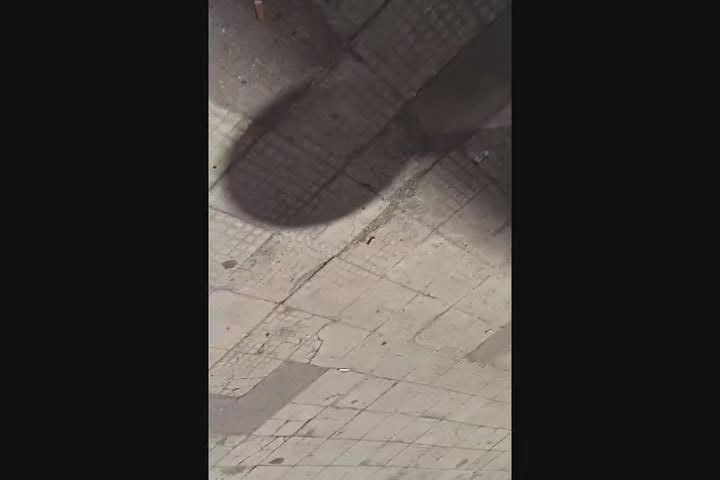 Aggressione In Balduina Avvoc