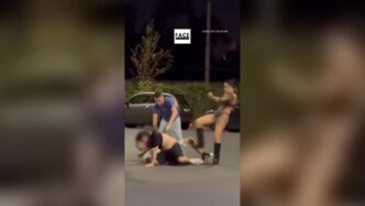 Aggressione Omofoba A Roma Id