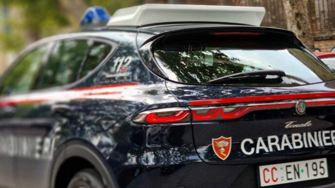 Aggressione Ai Carabinieri A L 1