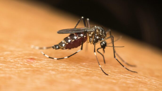 Allerta Virus Usutu A Monte Sa