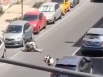 Auto In Eccesso Di Velocita L