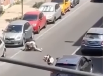Auto In Eccesso Di Velocita L