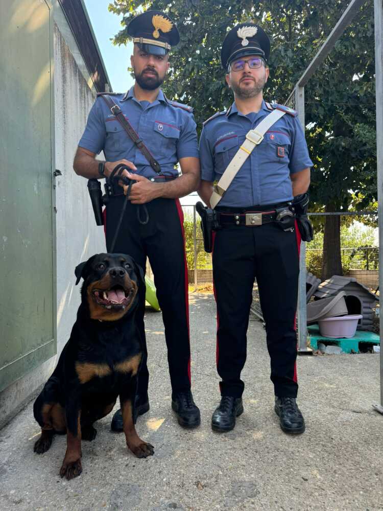Carabinieri Salvano Un Cane Ro