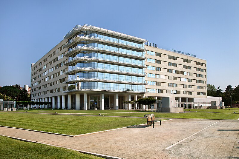 Fsl Fondazione Santa Lucia Irccs Ospedale 11
