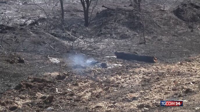 Incendi A Roma Nuovi Focolai