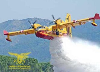 Incendi Devastano Bonorva Eme