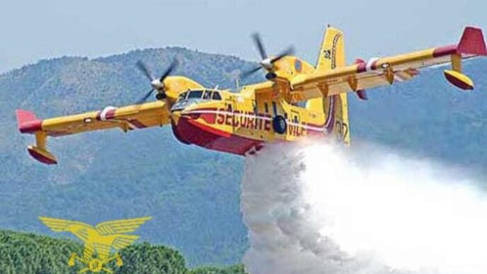 Incendi Minacciano Rimboschime