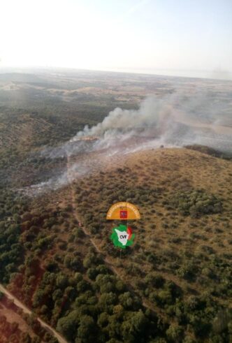 Incendio Boschivo Sulle Collin