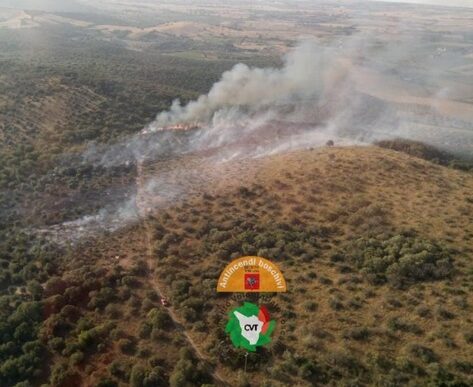 Incendio Boschivo Sulle Collin