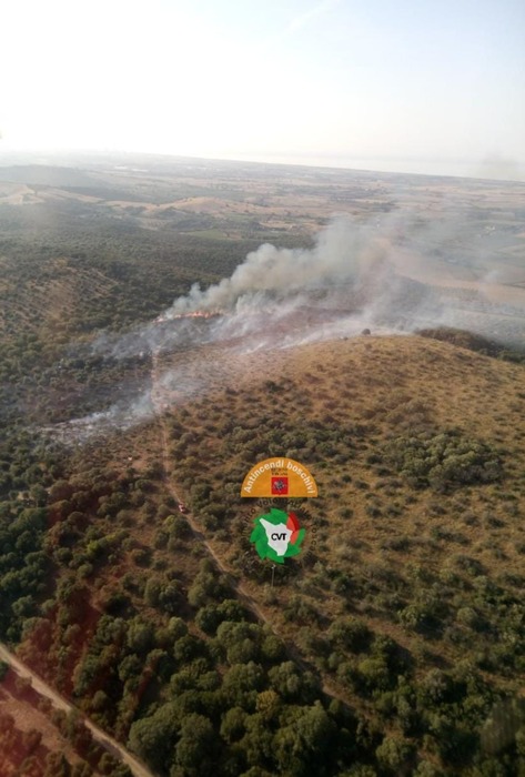 Incendio Boschivo Sulle Collin