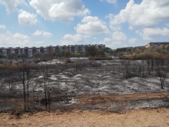 Incendio Devasta Il Pratone Di