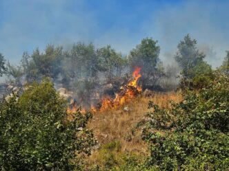 Incendio Devastante A Polla C