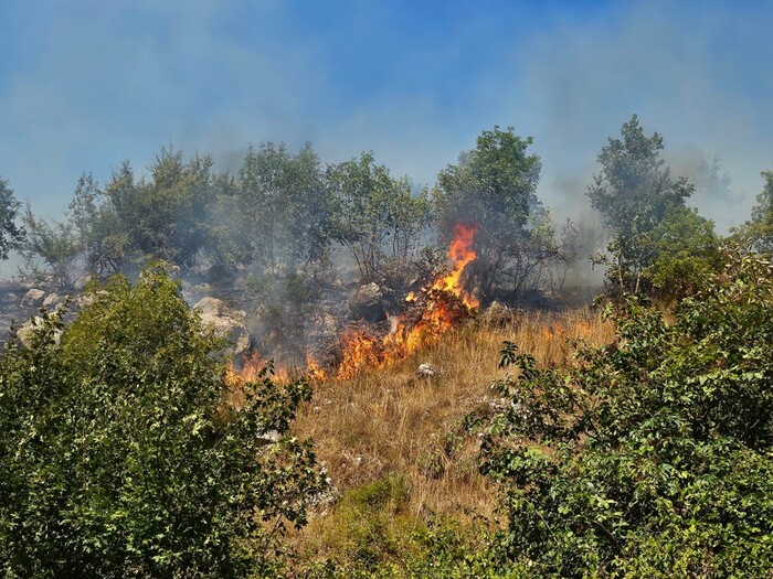 Incendio Devastante A Polla C