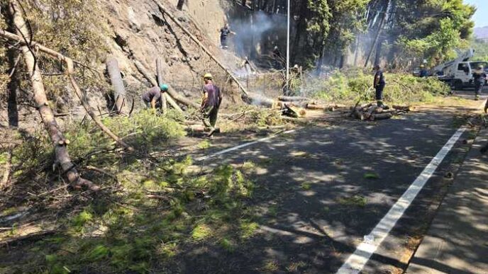Incendio Doloso Sul Monte Bona