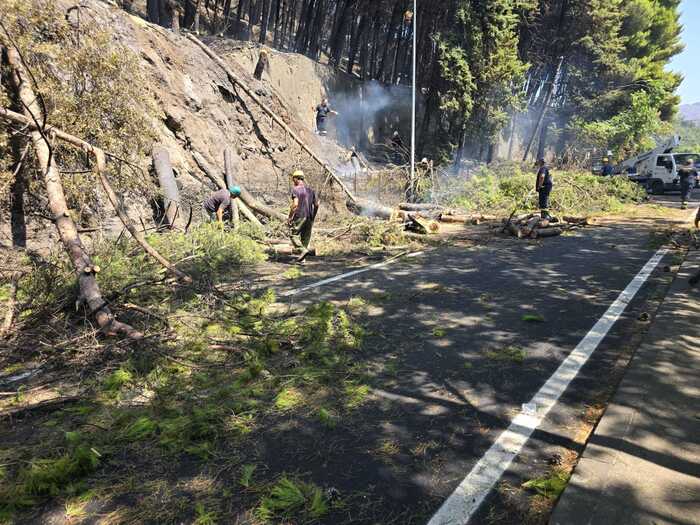 Incendio Doloso Sul Monte Bona