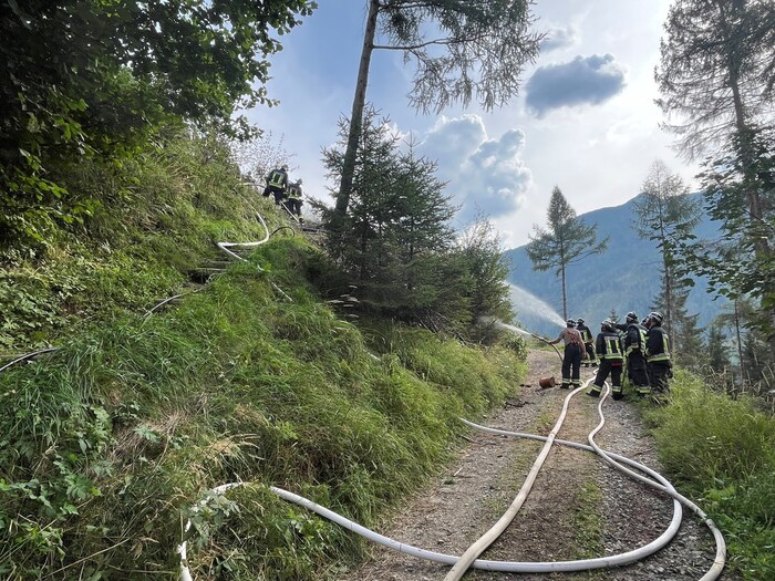 Incendio Nel Bosco A Lutago T