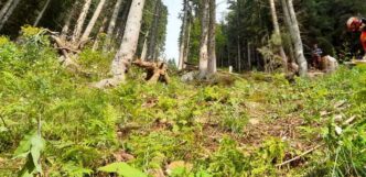 Incidente Sul Lavoro A Pinzolo