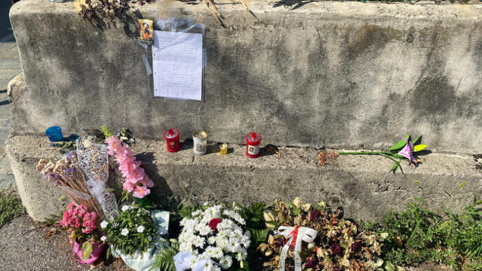La Famiglia Verzeni Si Esprime