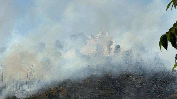 Monte Mario Incendio Devastan