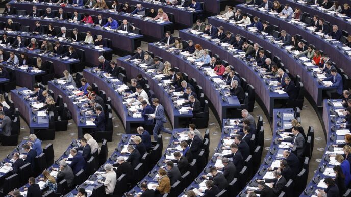 Ong Contro Lunione Europea L