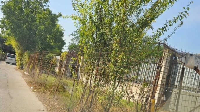 Protesta A Arzano Via Taverno